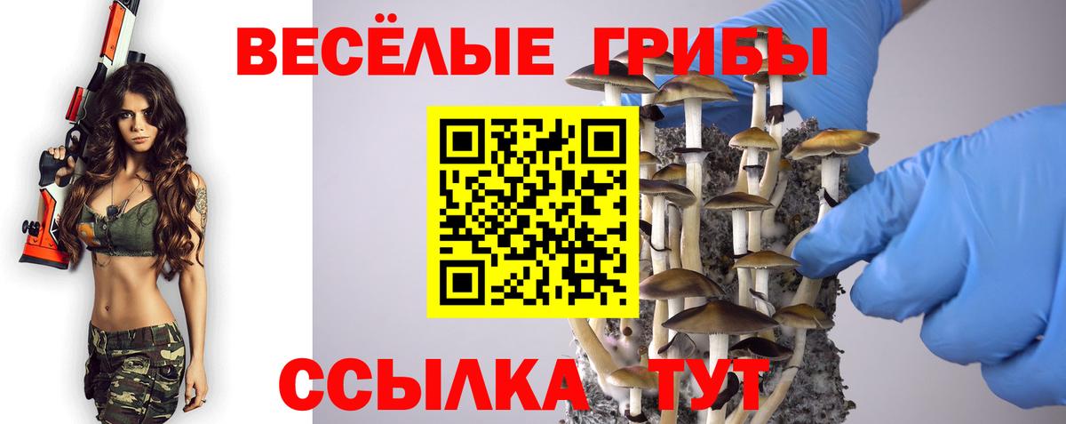 Жуковский  Галлюциногенные грибы прущие грибы  Вход с VPN 